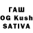 ГАШ Premium Jahongir Rahmatullayev