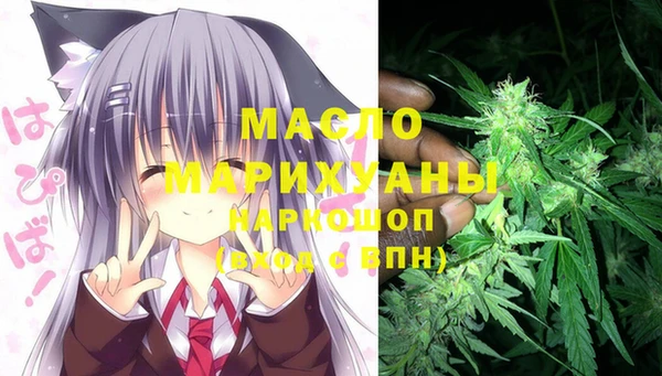 молекула духа Богородск