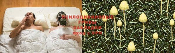 хмурый Богородицк