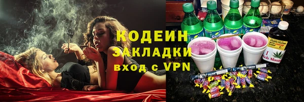 хмурый Богородицк