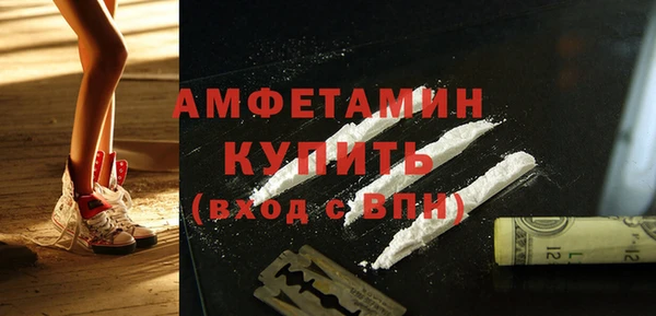 молекула духа Богородск