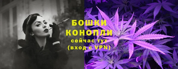 молекула духа Богородск